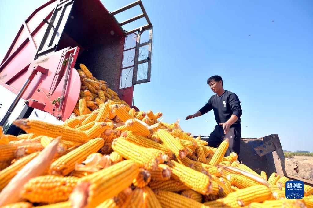 捕鱼游戏电脑版在线挣钱